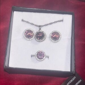 Nwt Elegant Silver and Purple Jewelry Set